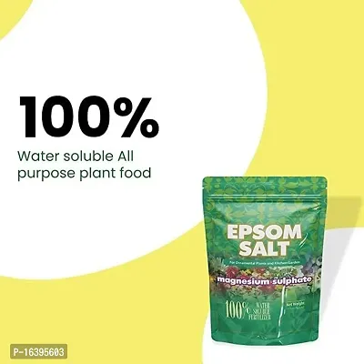 Best Quality Epsom Salt Magnesium Sulfate For Speed Up Plant Growth Vegetables  Plants Nutrient (1 Kg)-thumb2