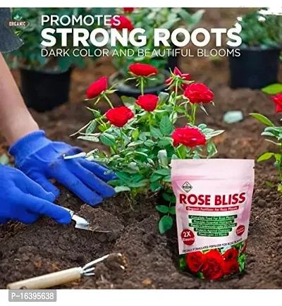 Best Quality Diamondagro Rose Bliss - Rose Plant Fertilizer - Organic Fertilizer For Rose Plants Fertilizer (1K G, Granules)-thumb3