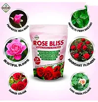 Best Quality Diamondagro Rose Bliss - Rose Plant Fertilizer - Organic Fertilizer For Rose Plants Fertilizer (1K G, Granules)-thumb4