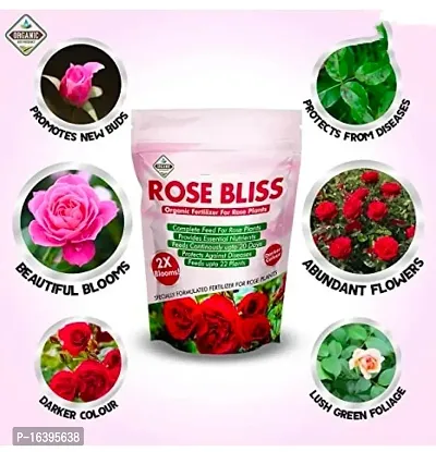 Best Quality Diamondagro Rose Bliss - Rose Plant Fertilizer - Organic Fertilizer For Rose Plants Fertilizer (1K G, Granules)-thumb5