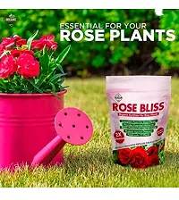 Best Quality Diamondagro Rose Bliss - Rose Plant Fertilizer - Organic Fertilizer For Rose Plants Fertilizer (1K G, Granules)-thumb1