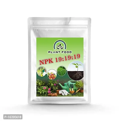 Best Quality Plant Food Npk 19 19 19