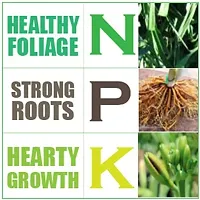 Best Quality Npk 20 20 20 Fertilizers For Plants - Complete Plant Food Npk Fertilizer For Growth Boost And Maximum Production - Ideal For Home, Garden  Outdoor Plant Care-thumb1