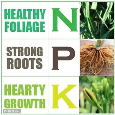 Best Quality Npk 20 20 20 Fertilizers For Plants - Complete Plant Food Npk Fertilizer For Growth Boost And Maximum Production - Ideal For Home, Garden  Outdoor Plant Care-thumb2