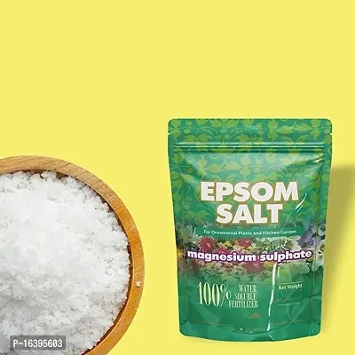 Best Quality Epsom Salt Magnesium Sulfate For Speed Up Plant Growth Vegetables  Plants Nutrient (1 Kg)-thumb3