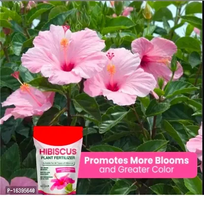 Best Quality Organic Hibiscus Plant Fertilizer For Flowering, Bright Leaves And Strong Roots-thumb4