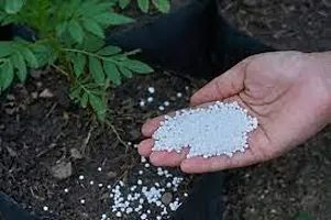 Best Quality Calcium Nitrate Fertilizer For Plants (100% Water Soluble Fertilizer) Plant Food Ready To Use For All Plants (1 Kg)-thumb1