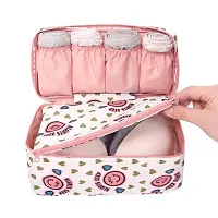 KENDRICK Travel Underwear Panties Bra Pouch Organizer Bag Pouch Waterproof Personal Garment Bag Case Undergarments Organizer for Women Travel Pouch Kit Bag-thumb4