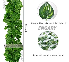 ENGARY ? Artificial Garland Zebra Money Plant Leaf Bail/Creeper Wall Hanging - Length 6.5 Feet - Pack of 6 - Green-thumb1