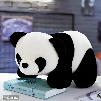 Classic Multicoloured Teady Panda Soft Toy-thumb2