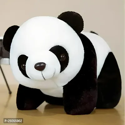 Classic Multicoloured Teady Panda Soft Toy-thumb0