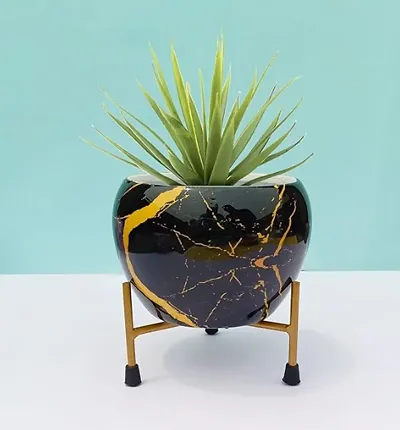 Limited Stock!! Plant & Planters 