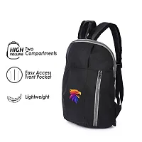 Cp Bigbasket Small 12 L Backpack Mini Bag for School, College, Office Multipurpose backpack  (Black, Grey)-thumb1