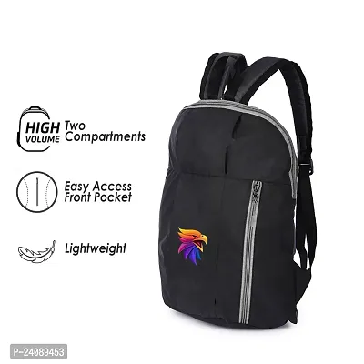 Cp Bigbasket Small 12 L Backpack Mini Bag for School, College, Office Multipurpose backpack  (Black, Grey)-thumb2