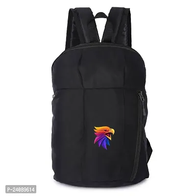 Cp Bigbasket Small 12 L Backpack Mini Bag for School, College, Office Multipurpose backpack  (Black, Black)-thumb0