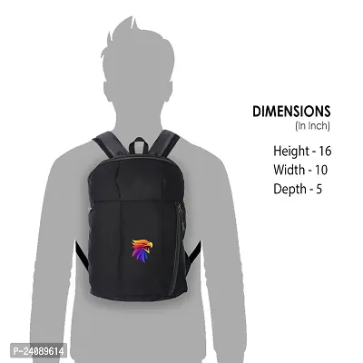 Cp Bigbasket Small 12 L Backpack Mini Bag for School, College, Office Multipurpose backpack  (Black, Black)-thumb2