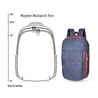 Cp Bigbasket Small 12 L Backpack Mini Bag Compact Bag for School, College, Office Multipurpose backpack  (Blue, Red)-thumb2
