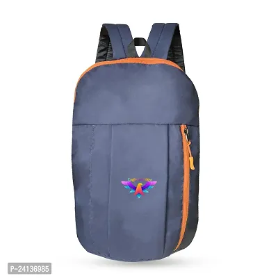 Cp Bigbasket Small 12 L Backpack Mini Bag Compact Bag for School, College, Office Multipurpose backpack  (Blue, Orange)-thumb0