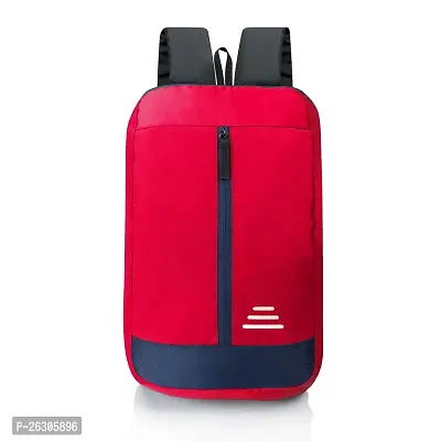 Cp Bigbasket Small 14 L Laptop Backpack Bag for Daily Use - 1 Compartment Mini Backpack