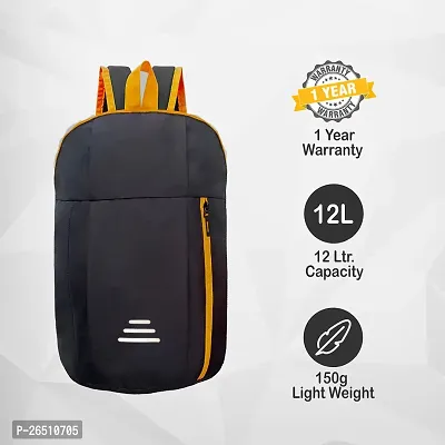 CP Bigbasket Small 12 L Backpack Small Lunch Bag, Bag for School, Collage, Office Mini Backpack.(Black/Orange)