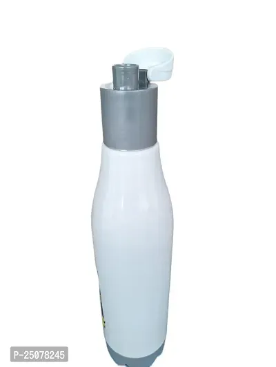 Essential Plastic Water Bottles
