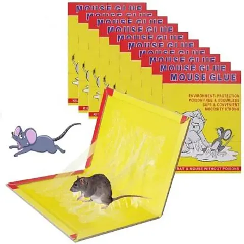 Mouse Glue Trap pack of 6 Live Trap Live Trap