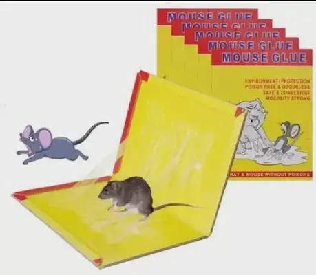 Catch Mouse Rat Glue Traps, Mouse Insect Rodent Lizard Trap Rat Catcher Adhesive Sticky Glue Pad for Rats/Lizards/Cockroaches/Ants/Mouse/Rodents Chuha Pakadne wala Pad/Plate (Pack of 5)