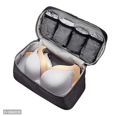 Buy Multipurpose Travel Storage Bag  for Undergarments, Innerwear,  Toiletries Travels Cosmetics (Assorted Color) Online In India At Discounted  Prices