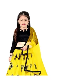 TerriBerri Girl's Embroidery Queen Semi Stitched Lehenga Choli Size:-() Colour:-()-thumb2