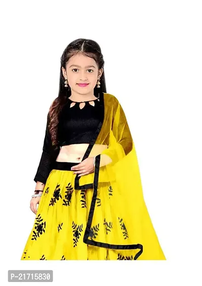 TerriBerri Girl's Embroidery Queen Semi Stitched Lehenga Choli Size:-() Colour:-()-thumb3