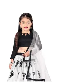 TerriBerri Girl's Embroidery Queen Semi Stitched Lehenga Choli Size:-() Colour:-()-thumb2