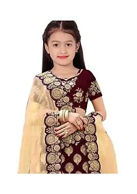 TerriBerri Girl's Embroidery Queen Semi Stitched Lehenga Choli Size:-() Colour:-()-thumb2