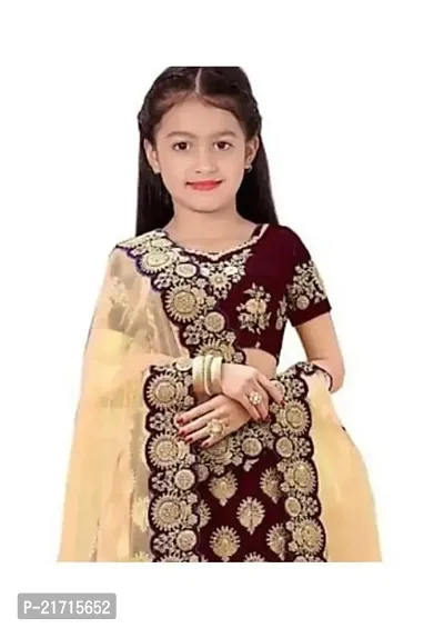 TerriBerri Girl's Embroidery Queen Semi Stitched Lehenga Choli Size:-() Colour:-()-thumb3