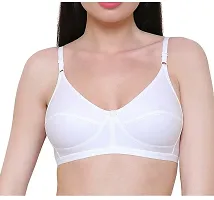 Epic Touch Women's X-Lady Premium Regular Bra for Women  Girls|Women's Bra (Pack of 2)-thumb4