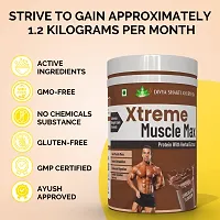 Xterme Muscle Max: Ayurvedic Formula for Weight Gain and Body Growth | Whey Protein | Body Growth Supplement | Muscle Gainer | ChocolateFlavour-thumb3