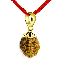 Original 2 Mukhi Two Faced Nepali Rudraksha Beads Pendant Gold Plated Loose Bead Chakra Healing Astrological Locket-thumb2