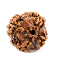 Natural 4 Face Four Mukhi Nepali Rudraksha Simple Pendant with Red Thread Shiva Devotional Locket Original and Certified Astrology Jewelry For Men Women-thumb1