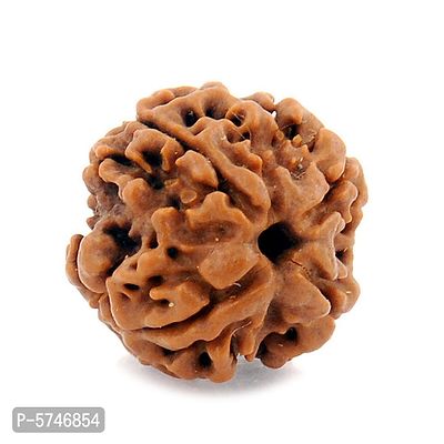 Certified Original Chah Mukhi 6 Faced Simple Natural Nepali Rudraksha Pendant Meditation Astrology Bead Locket with Thread For Adults Unisex-thumb2