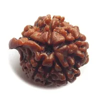 Original and Lab Certified Shree Ganesh Rudraksha Simple Pendant Loose Bead spiritual Locket For Men Women Jewellery-thumb1