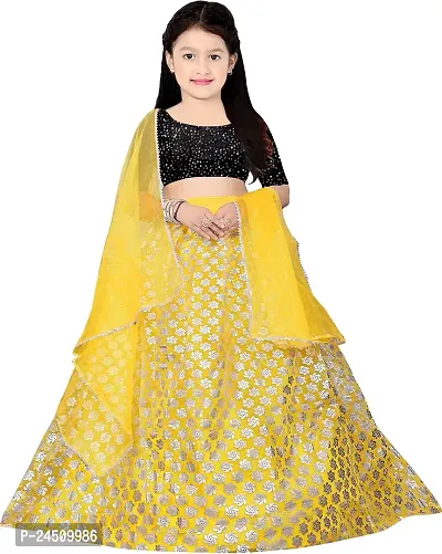 Stylish Girls Net Lehenga Choli Set-thumb0