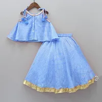 Alluring Blue Cotton Blend  Lehenga Cholis For Girls-thumb3