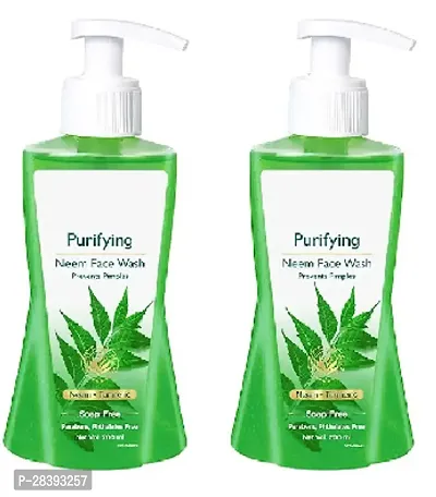 Purifying Neem Face Wash Pack of 2