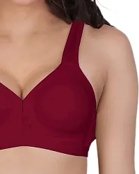 Stylish Stretchable Solid Bra for Women-thumb2