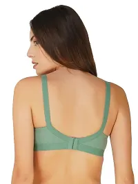 Classic Cotton Blend Solid Bras Pack of 2-thumb1