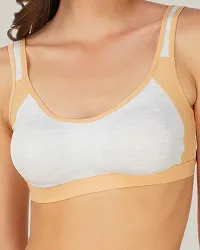 Classic Cotton Blend Solid Bras for Women, Pack of 3-thumb2