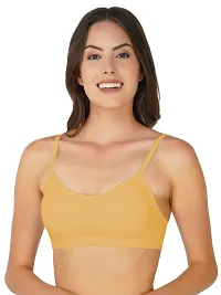 Classic Solid Bras for Women, Pack of 3-thumb1