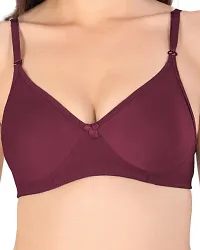 Classic  Cotton Blend Solid Bras for Women, Pack of 2-thumb2