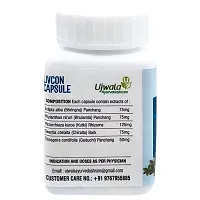 Livcon Capsule,Liver support,Repair fatty liver Improve function of Liver Cell-thumb2