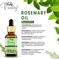 Rosemary Essential Oil For Skin, Muscle & Joints, Hair Conditioner Pure Therapeutic Grade - 15 Ml (Pack Of 2)-thumb3