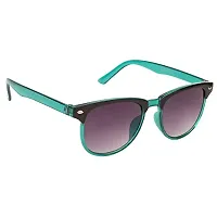 Unisex Plastic Sunglasses-thumb1